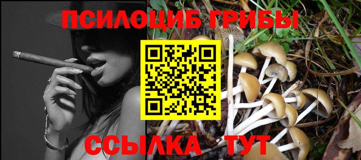 Псилоцибиновые грибы прущие грибы Красноперекопск